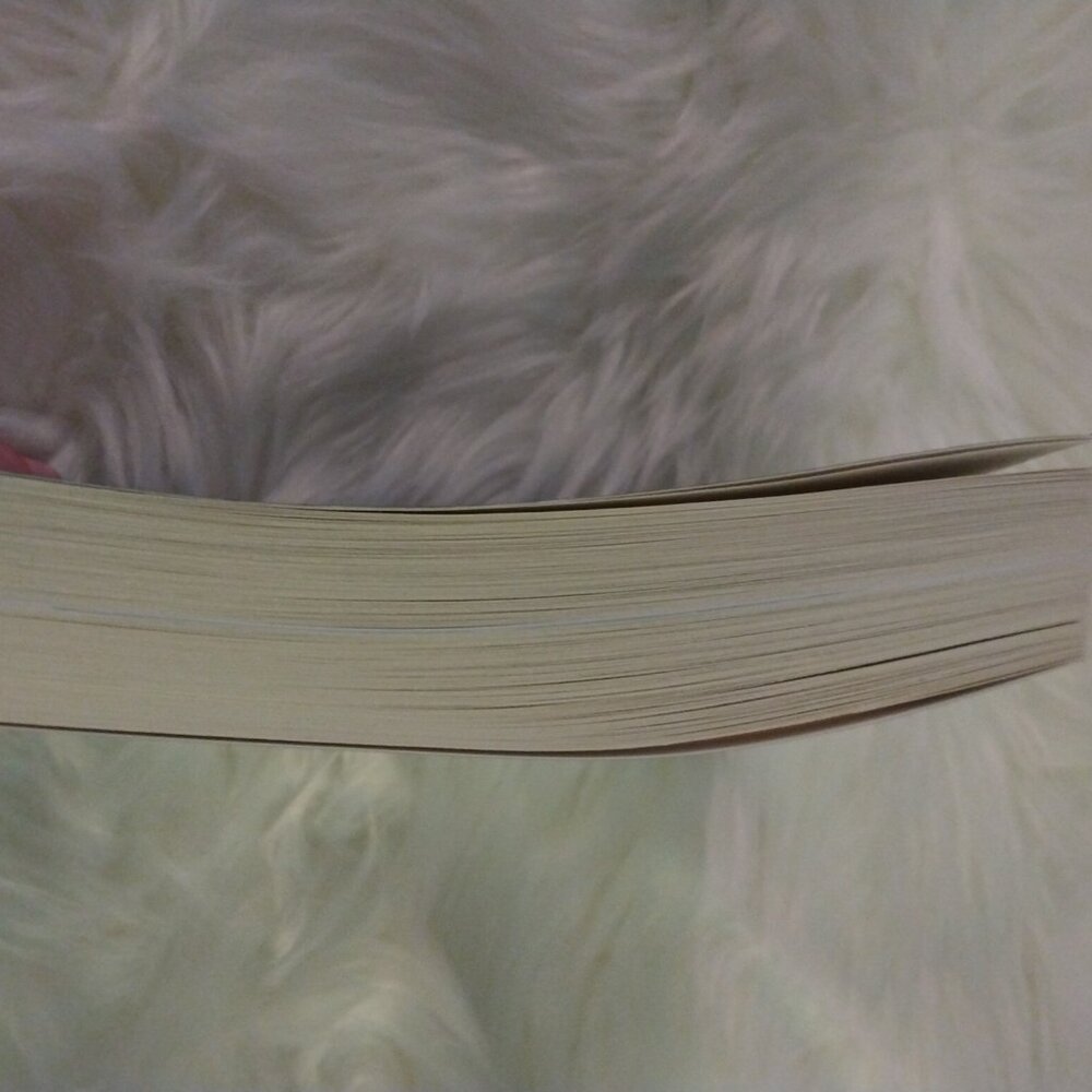 The Auschwitz Photographer book by Luca Crippa & Maurizio Onnis New - Picture 4 of 4